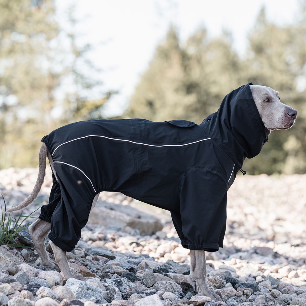 Dog overall  Evo Rain traxx®