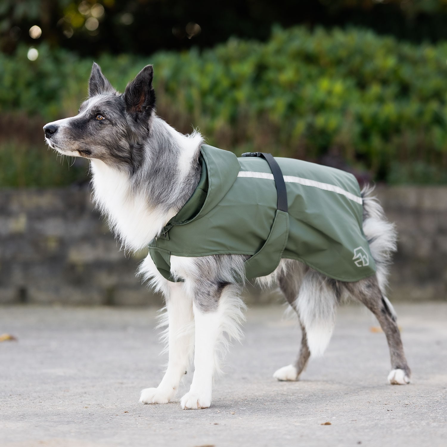 Rain coat Dog Archy traxx®