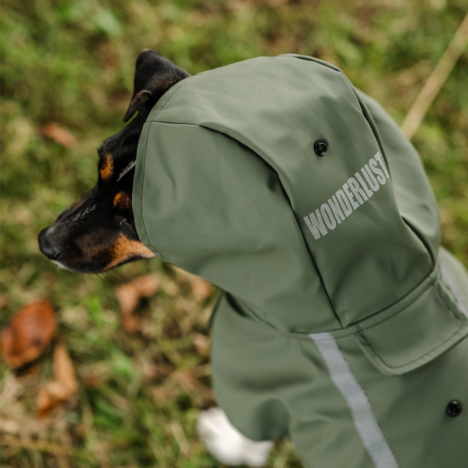 Rain coat Dog Archy traxx®