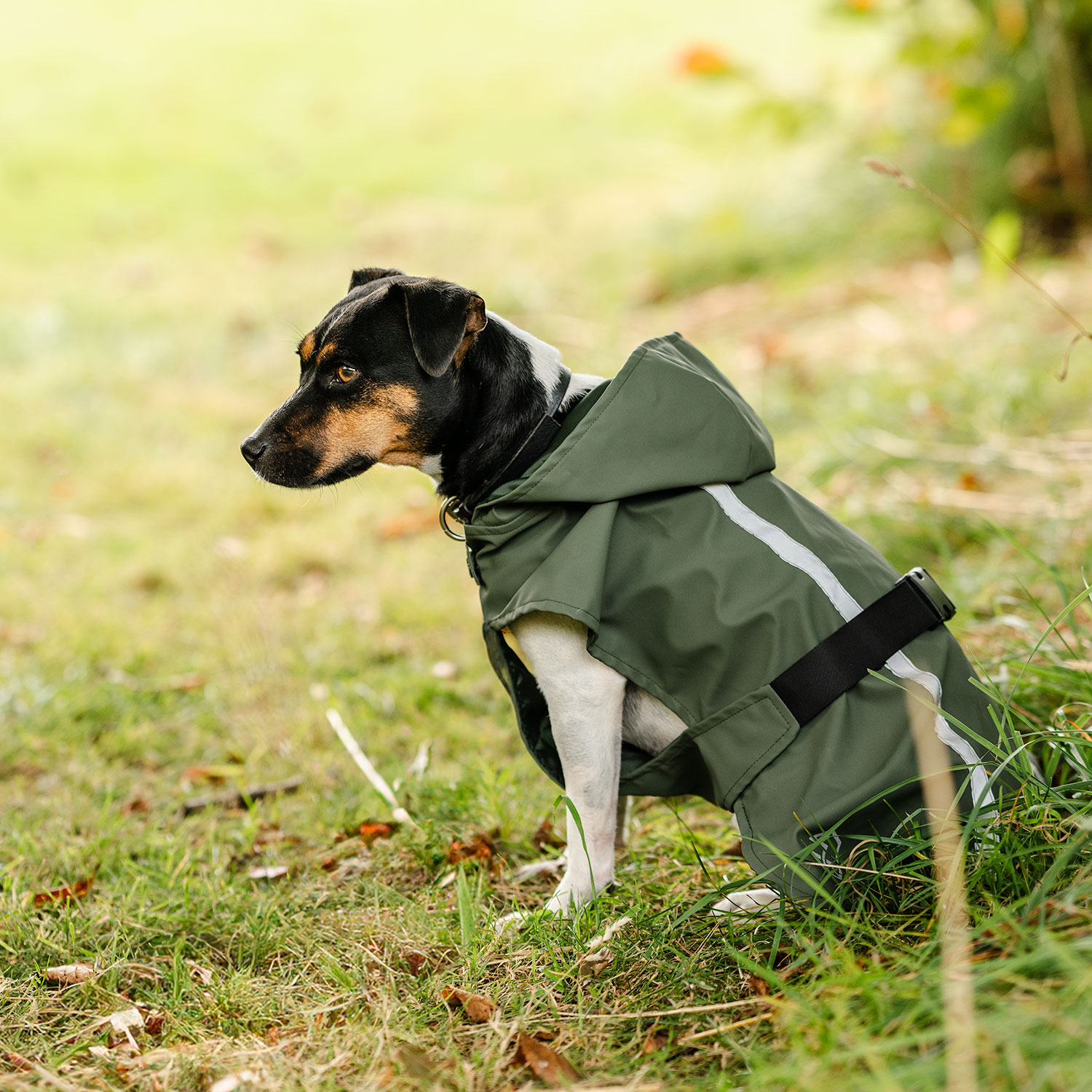 Rain coat Dog Archy traxx®