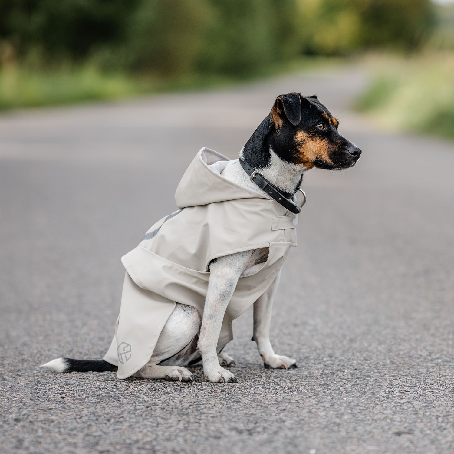 Rain coat Dog Archy traxx®