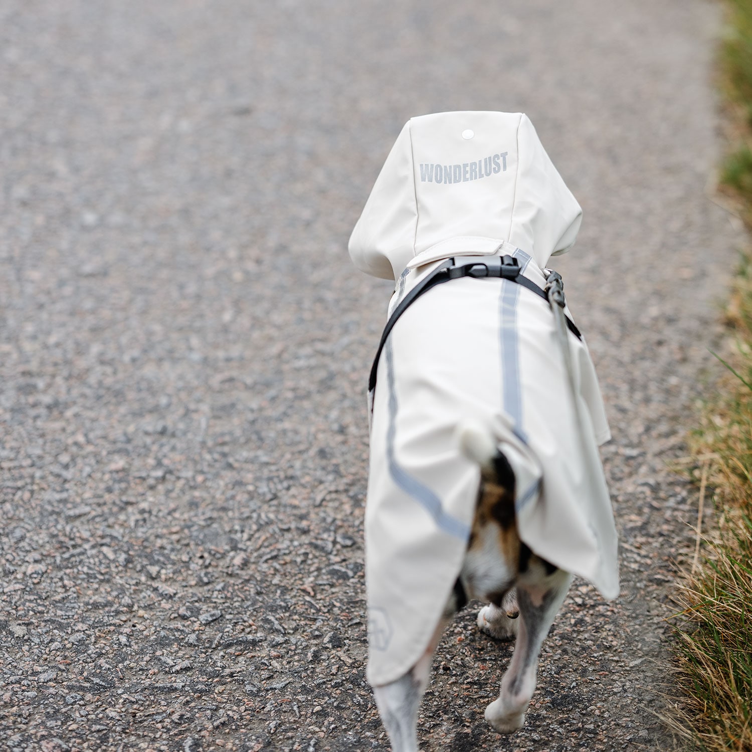 Rain coat Dog Archy traxx®