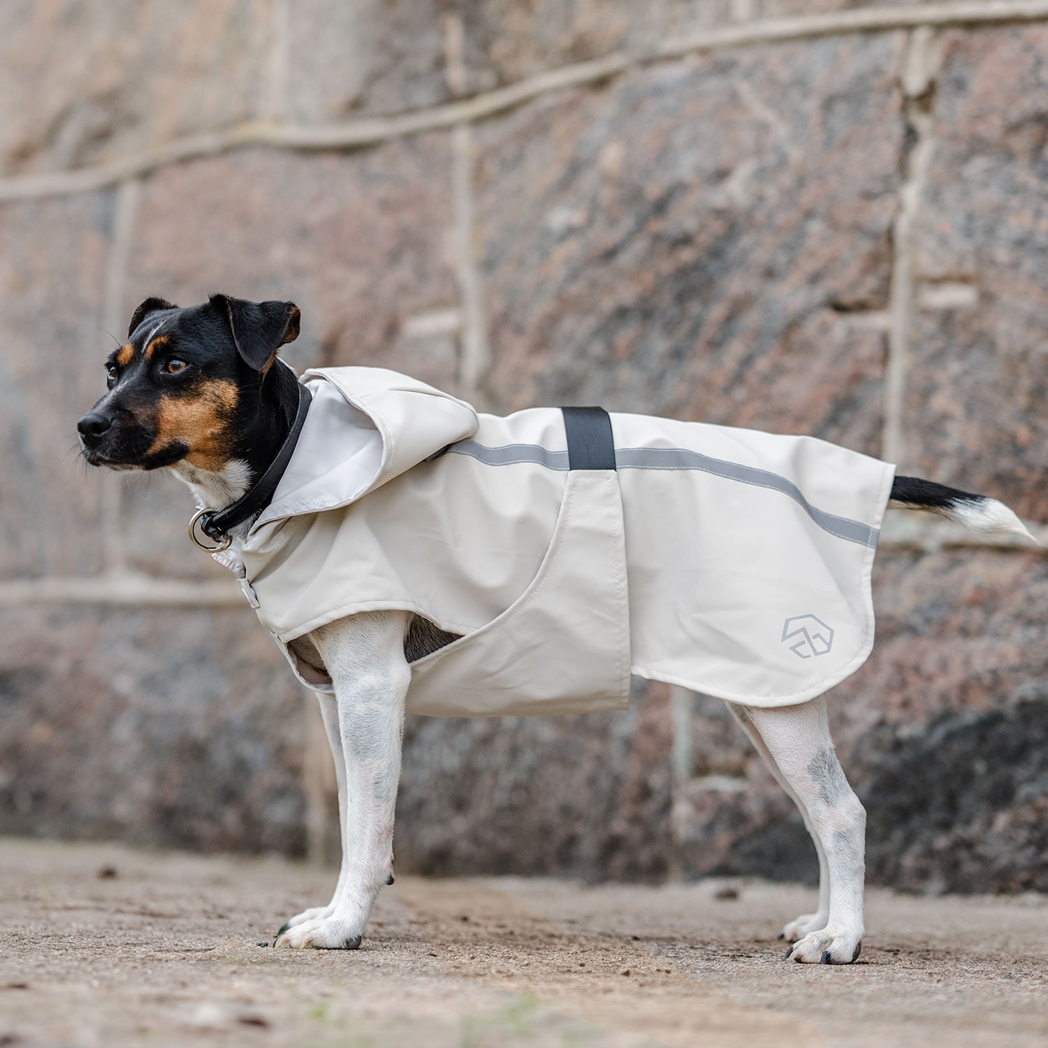 Rain coat Dog Archy traxx®