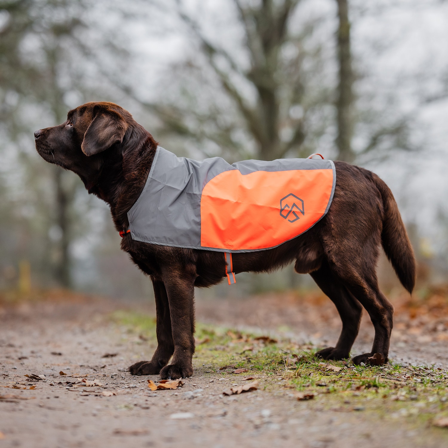 Reflective vest Dog Ringo traxx®