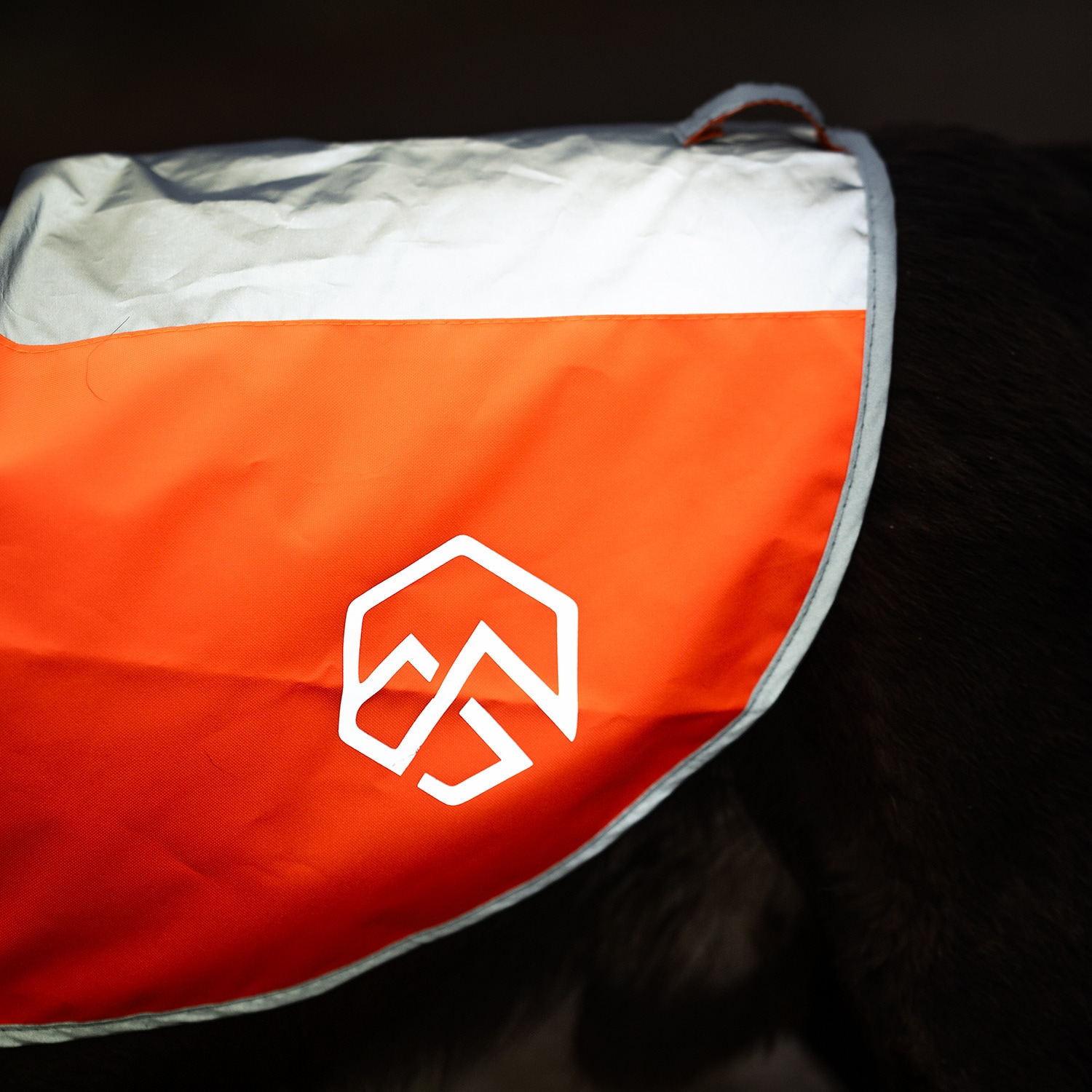 Reflective vest Dog Ringo traxx®