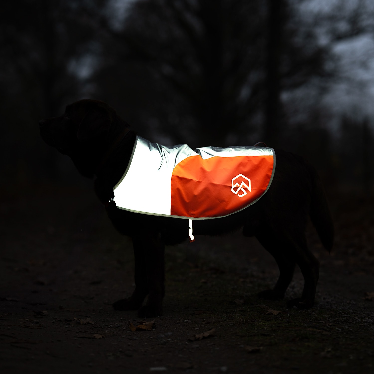 Reflective vest Dog Ringo traxx®