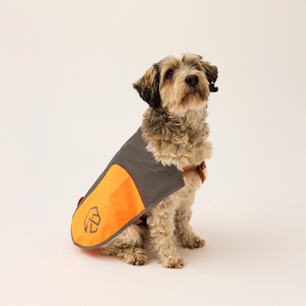 Reflective vest Dog Ringo traxx®