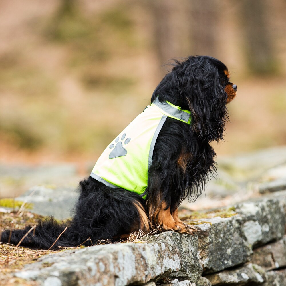 Reflective vest   traxx®