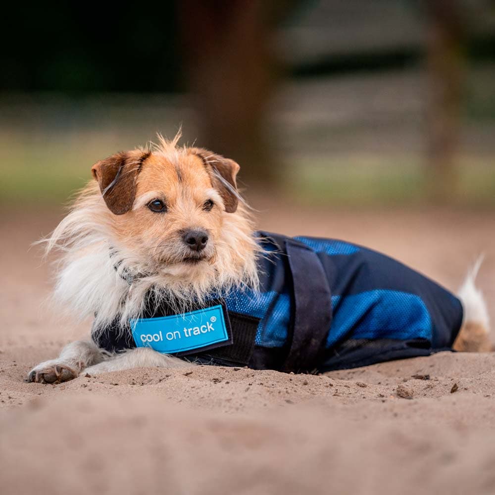 Cooling coat  Cool on Track Back on Track®