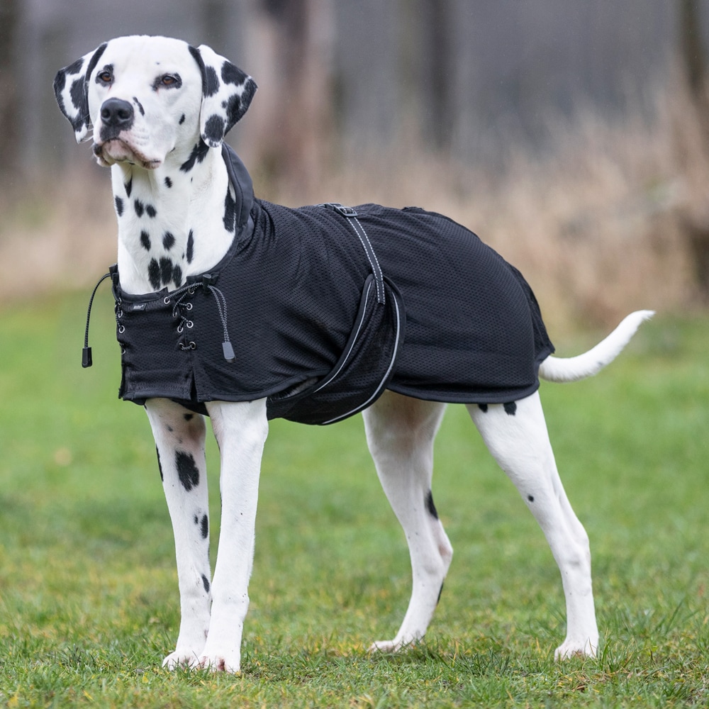 Net coat Dog  Back on Track®