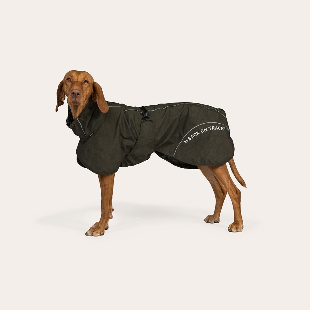 Rain rug Dog Bay Back on Track®