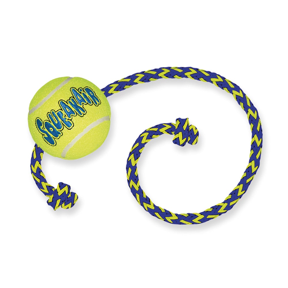 Tennis ball on a rope   Kong®