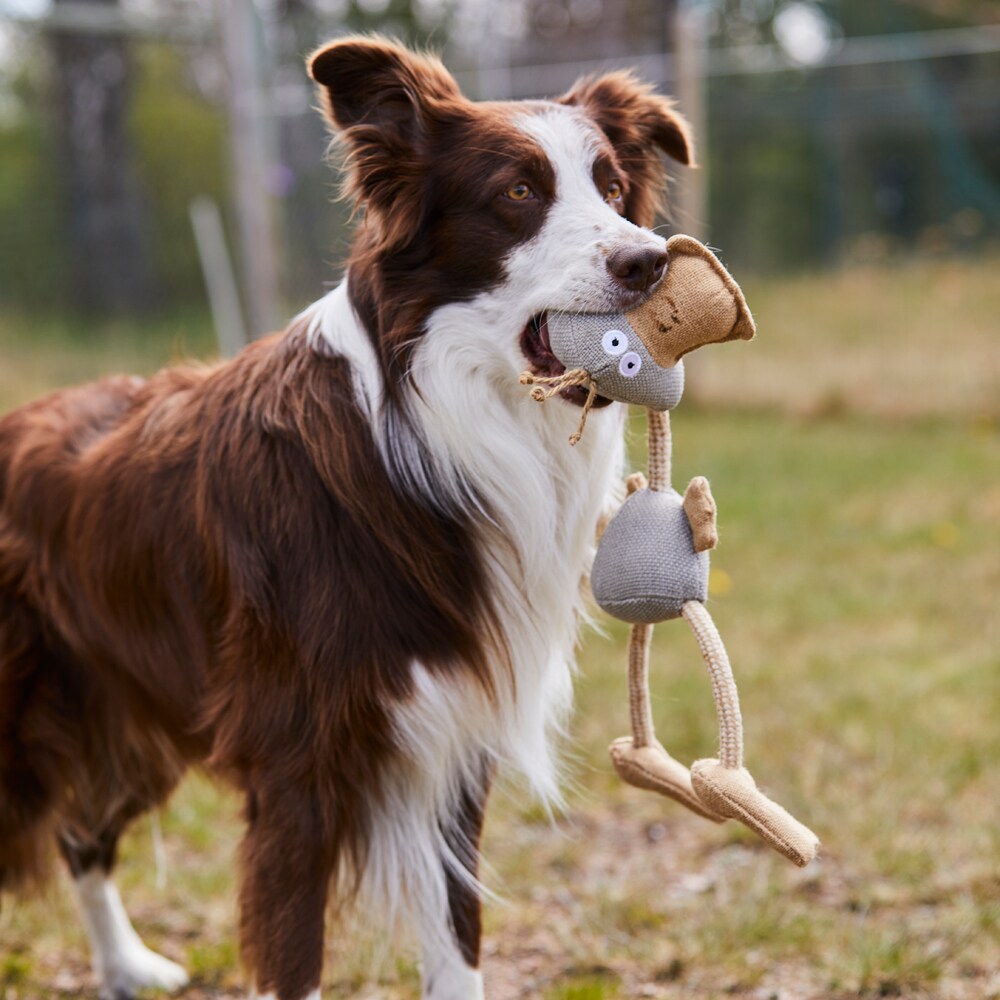 Dog toy  Rio traxx®