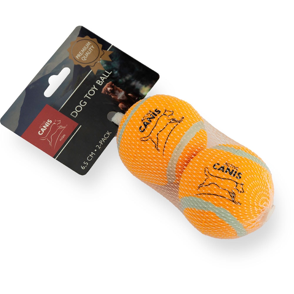 Tennis ball  2-pack Active Canis