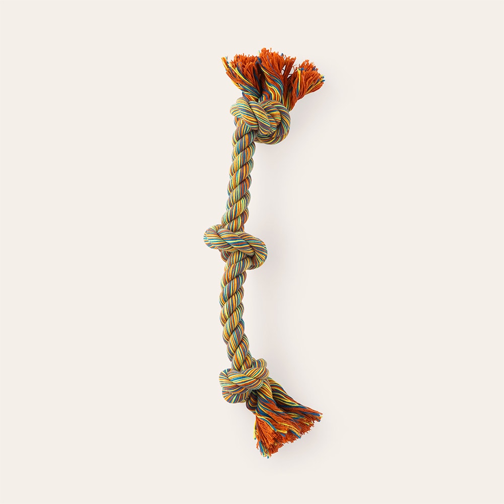 Dog toy  Traxx Kadi Dogtoy traxx®