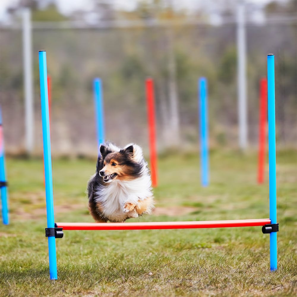 Obstacles   Kayoba