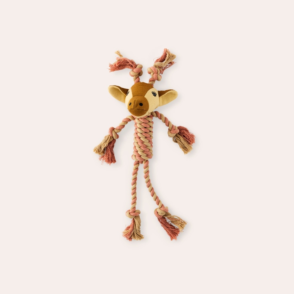 Dog toy Bambi traxx®