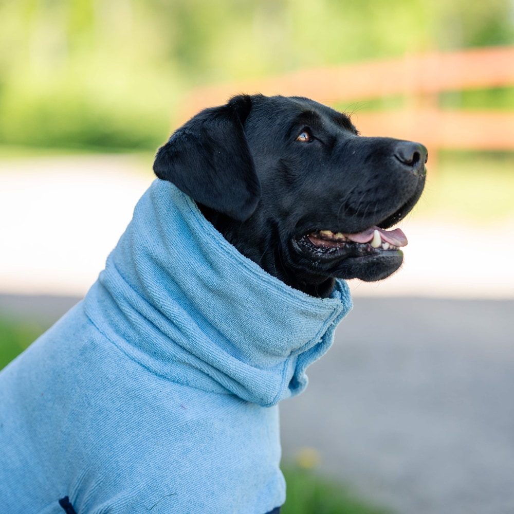 Dog bathrobe  Ljusnan traxx®