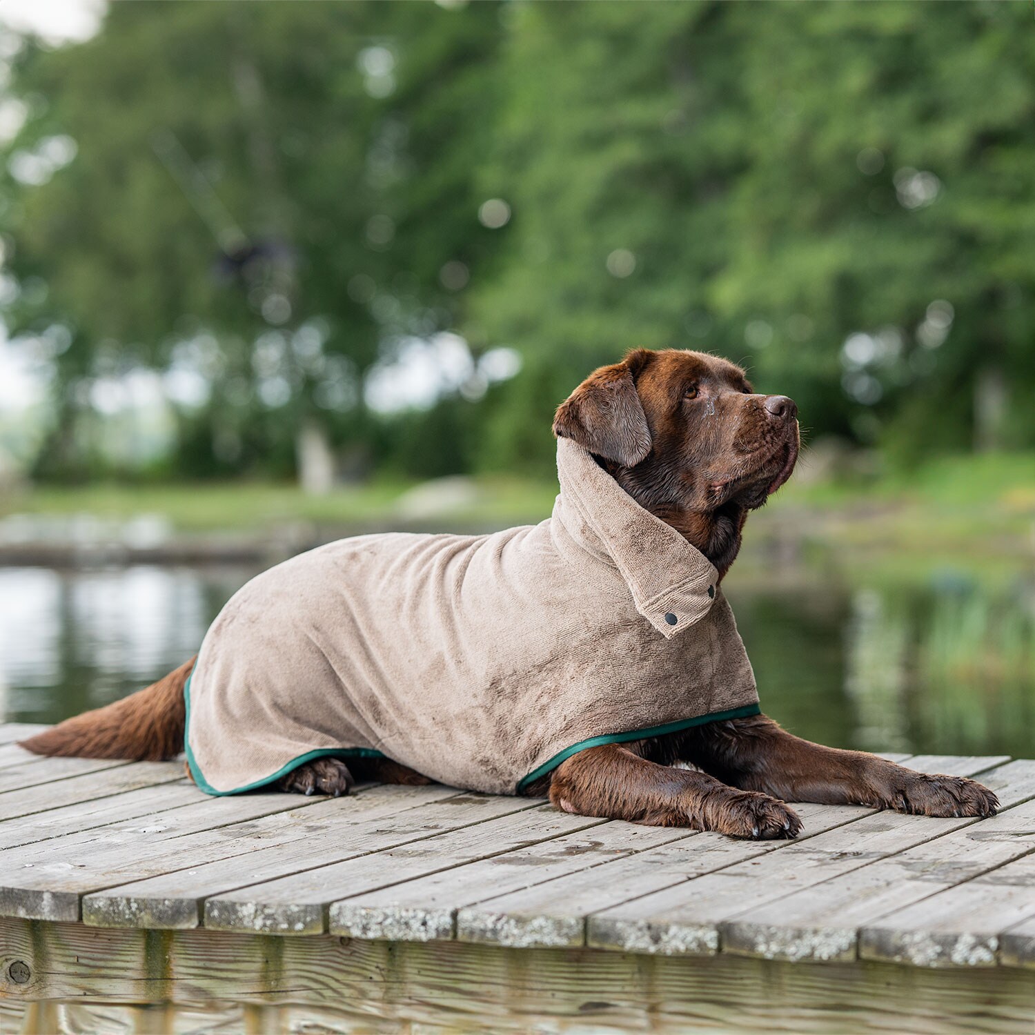 Dog bathrobe  Ljusnan traxx®