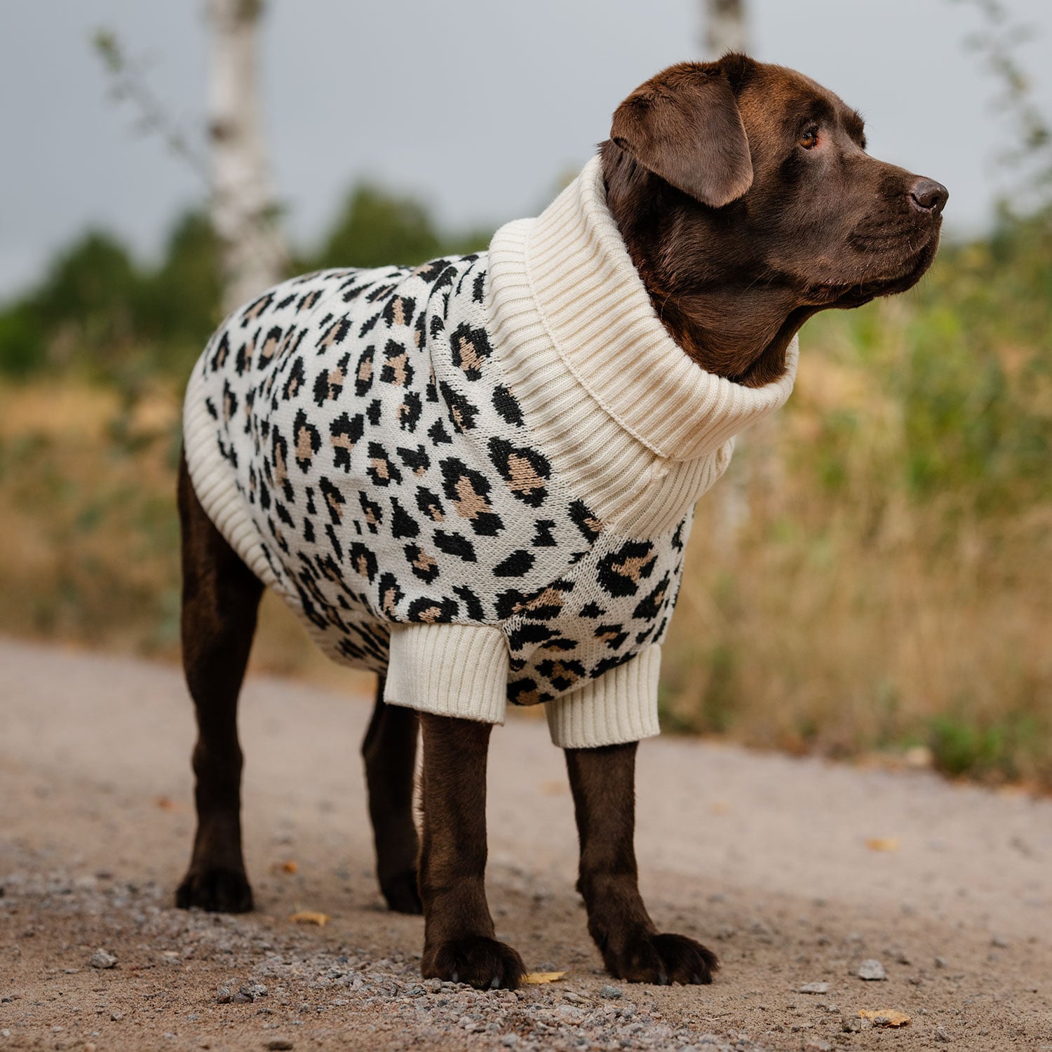 Dog sweater  Leo traxx®