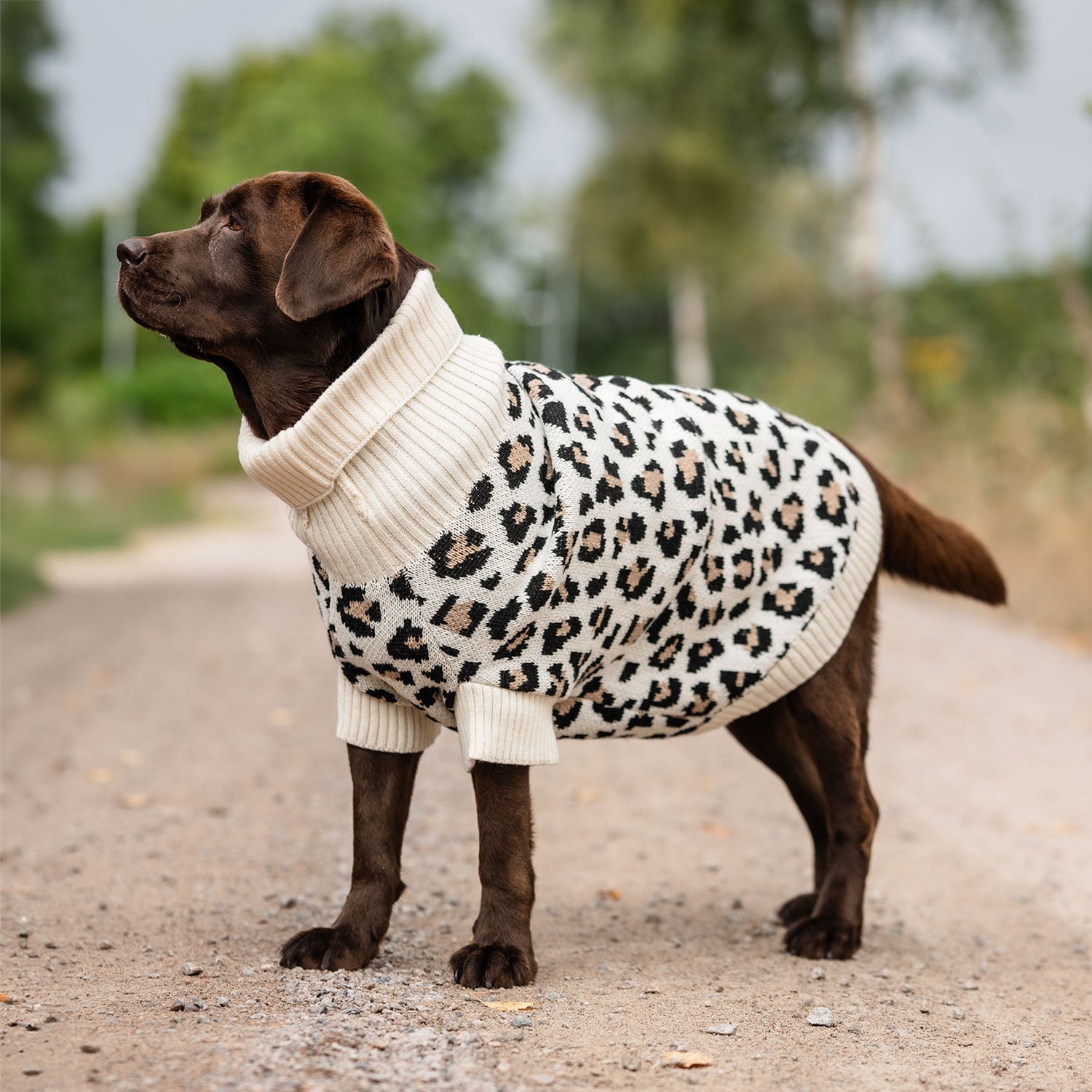 Dog sweater  Leo traxx®