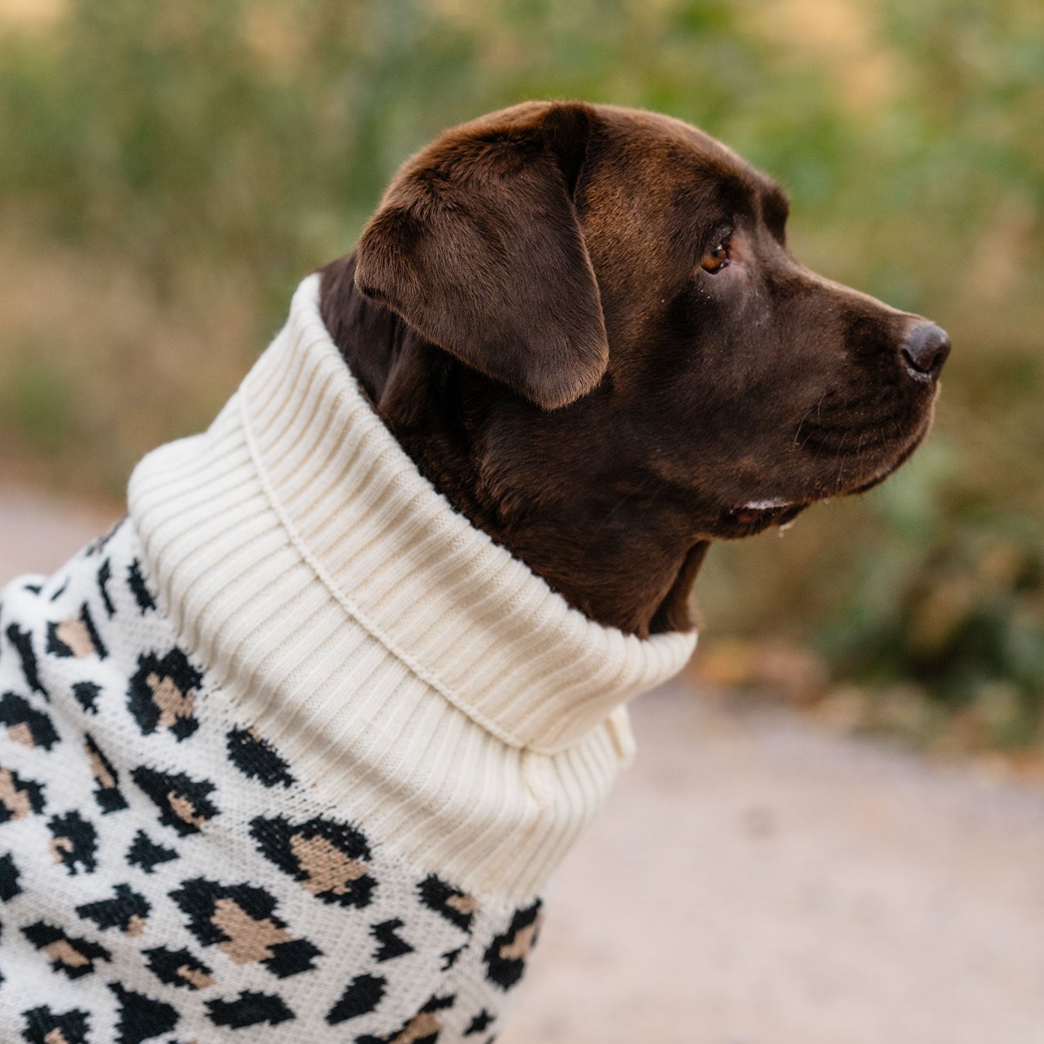 Dog sweater  Leo traxx®