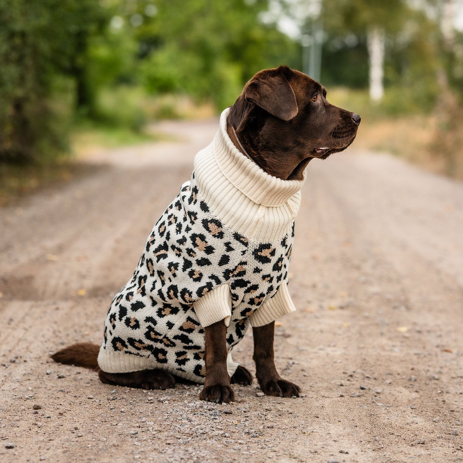Dog sweater  Leo traxx®