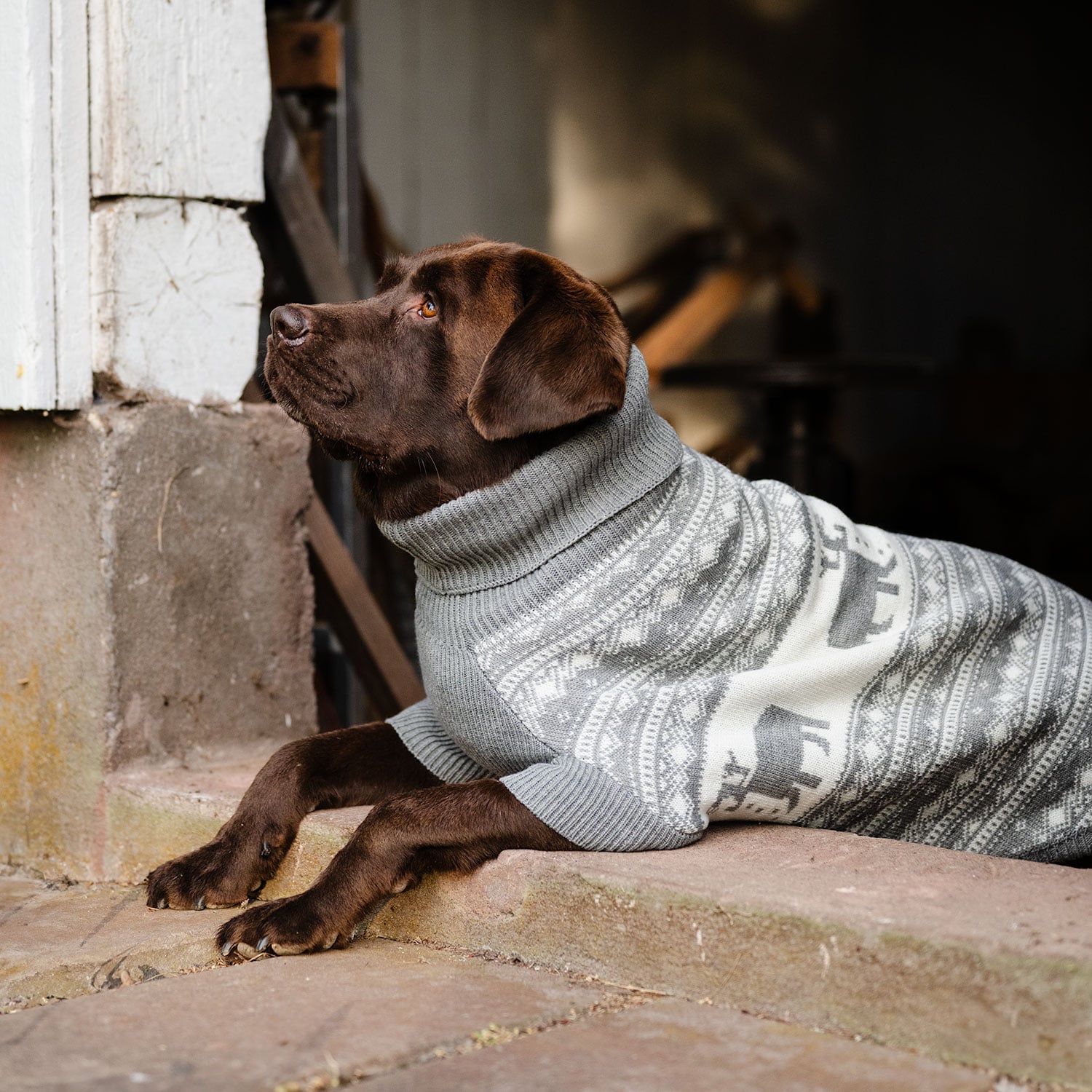 Dog sweater  Deer traxx®