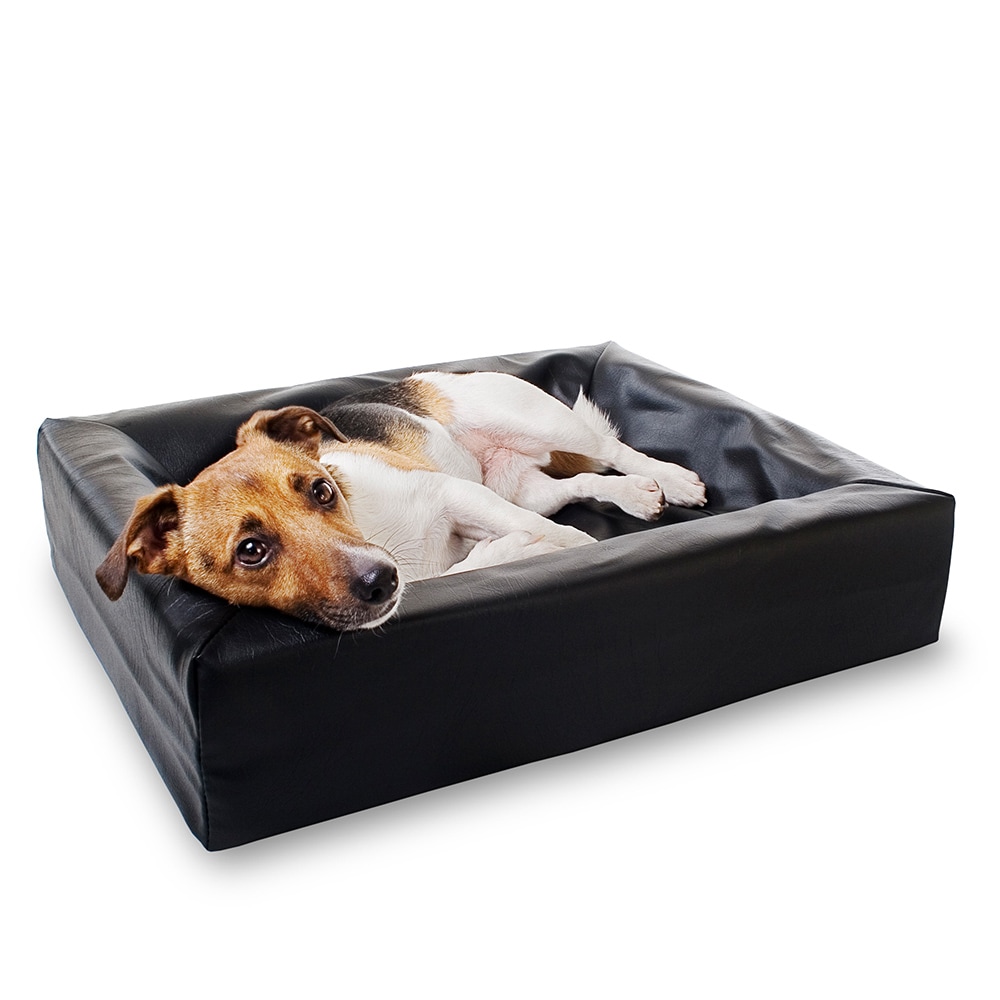 Dog bed  original BiaBed