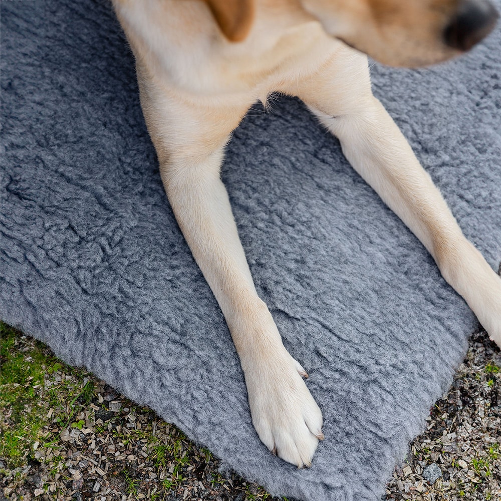 Dog blanket   traxx®