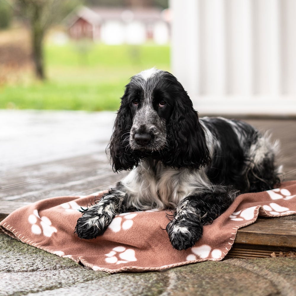 Dog blanket  Mirello traxx®