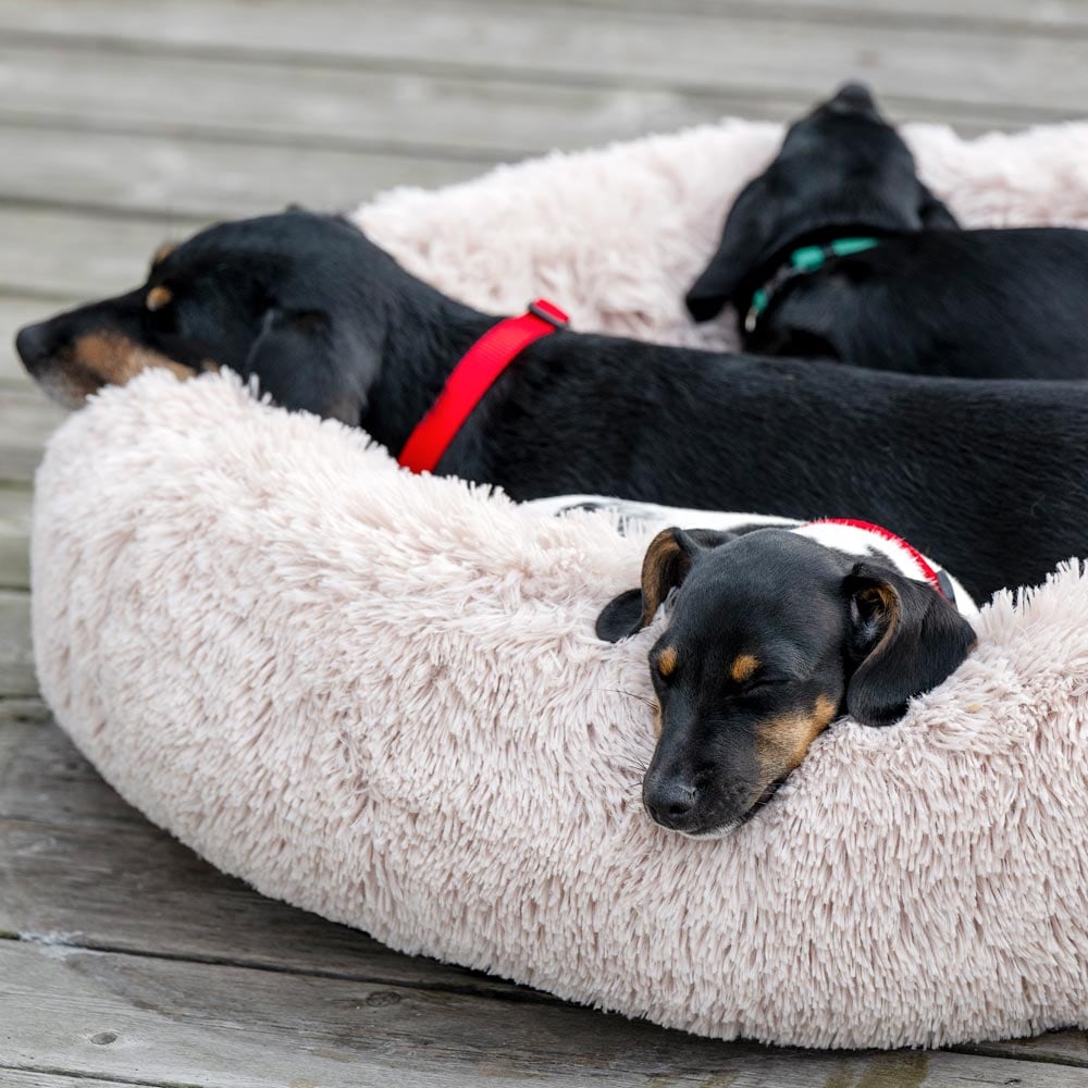 Dog bed  Donut traxx®