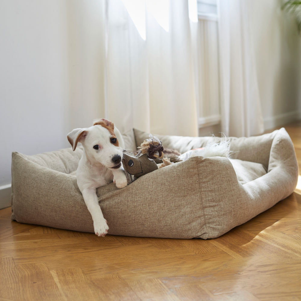 piazza dog bed