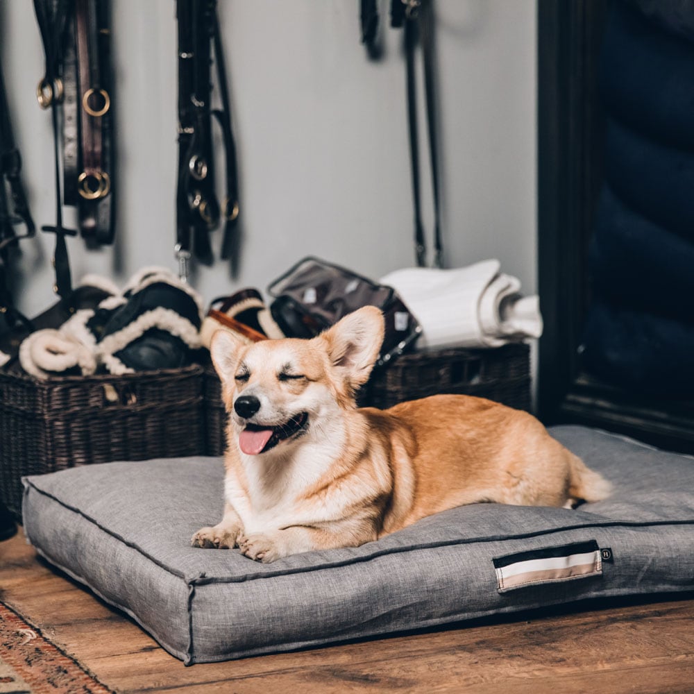 Dog bed  Luzzi JH Collection®