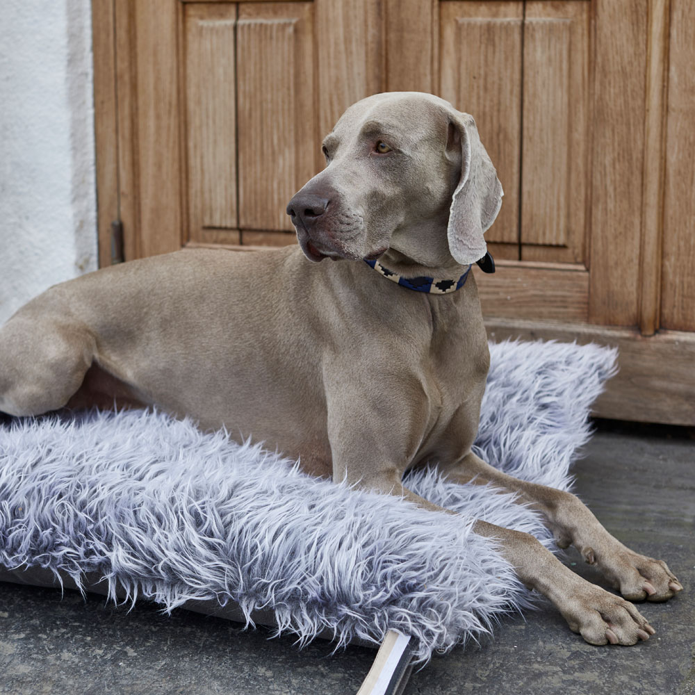 Dog mattress  Certosa JH Collection®