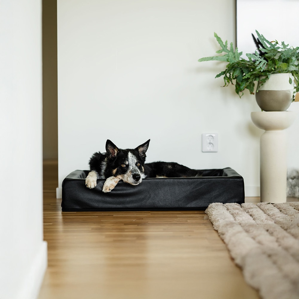 Dog basket Bilbo traxx®