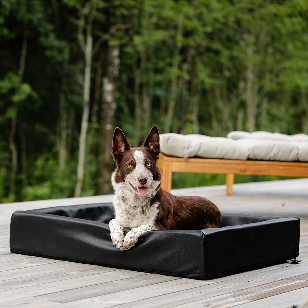 Dog basket Bilbo traxx®
