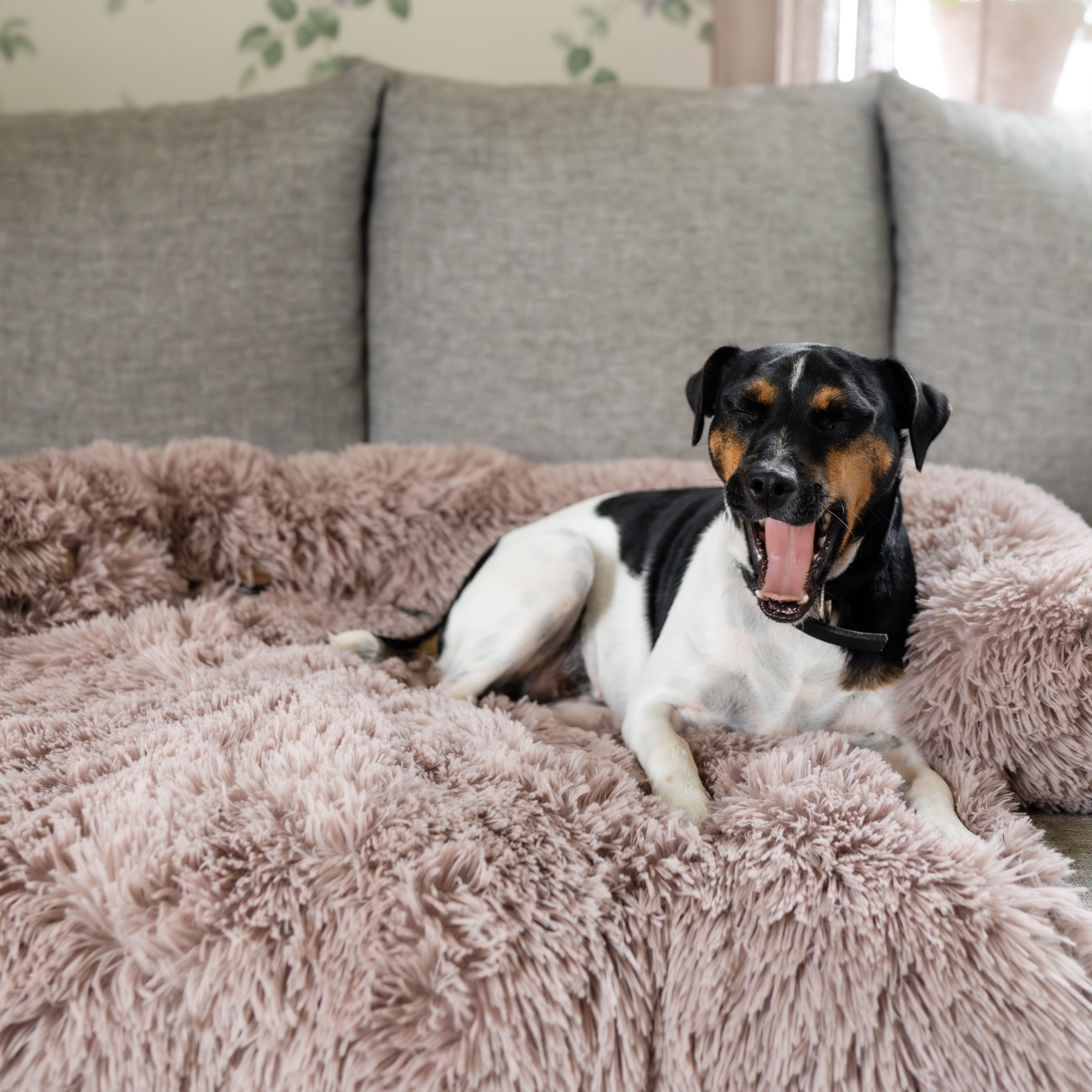 Dog bed  Pella traxx®