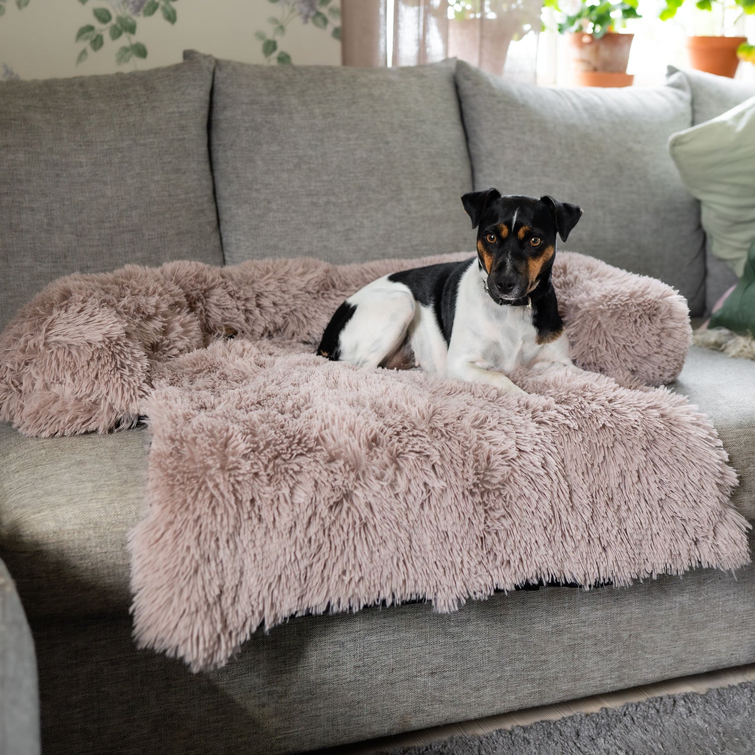 Dog bed  Pella traxx®