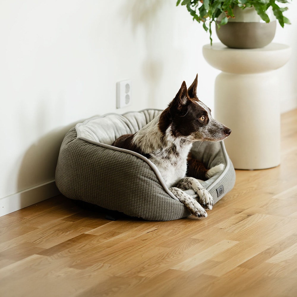Dog basket  Traxx Sejla Hundbädd traxx®
