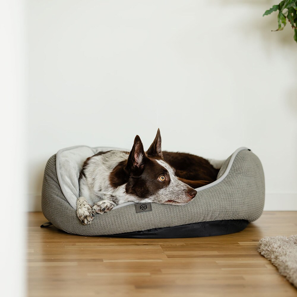 Dog basket  Traxx Sejla Hundbädd traxx®