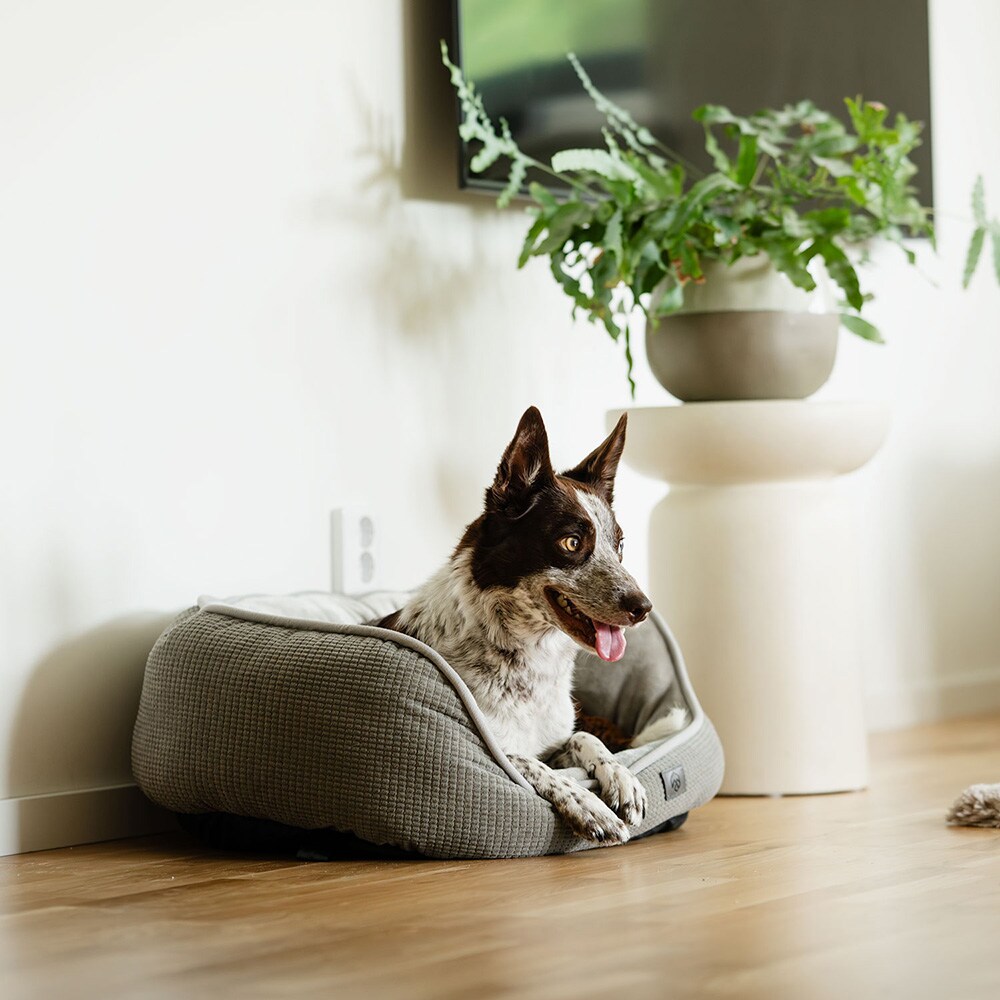 Dog basket  Traxx Sejla Hundbädd traxx®