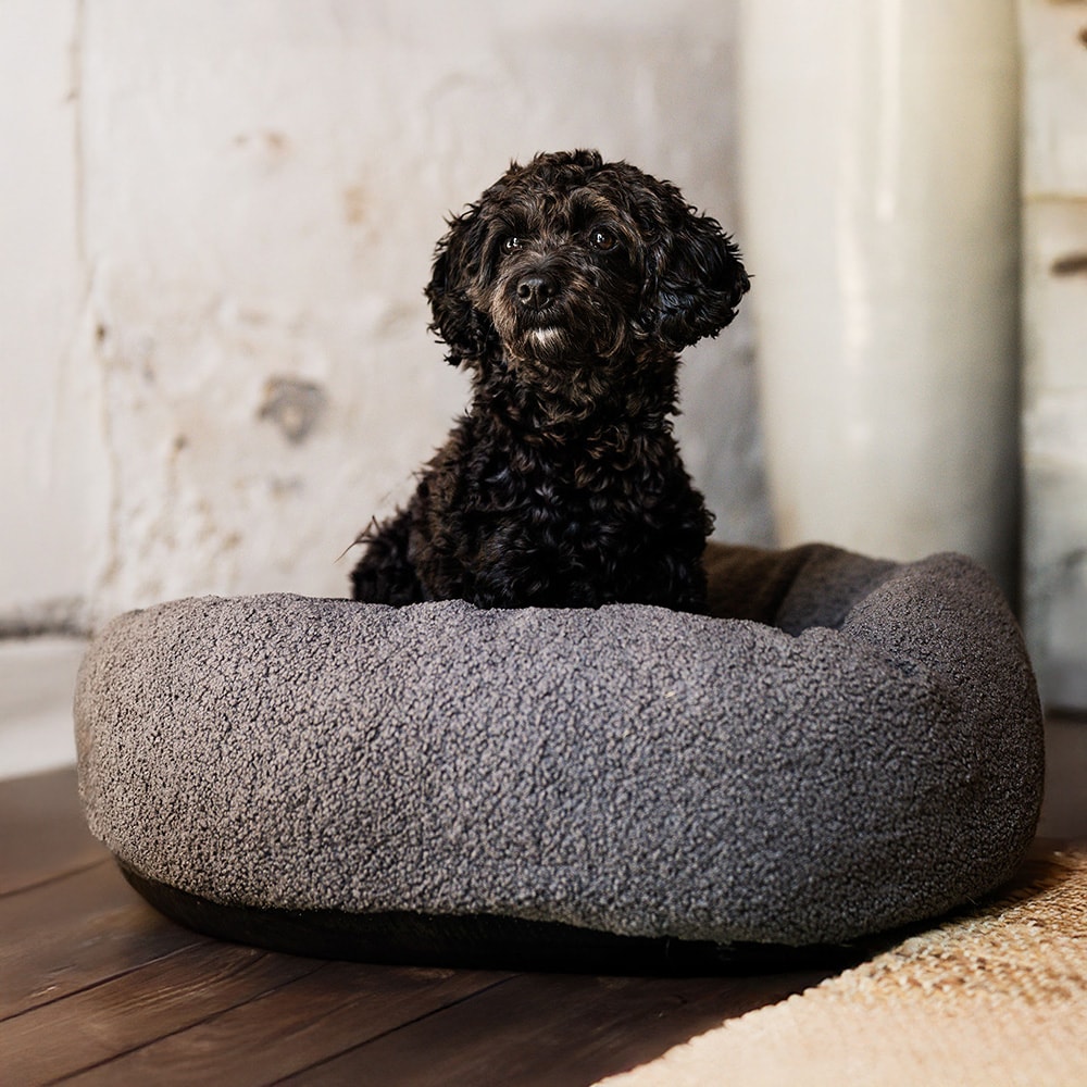 Dog basket  Traxx Teddie Hundbädd traxx®