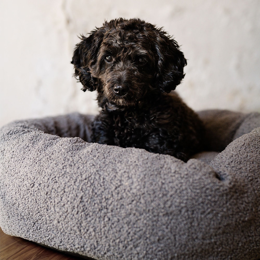 Dog basket  Traxx Teddie Hundbädd traxx®
