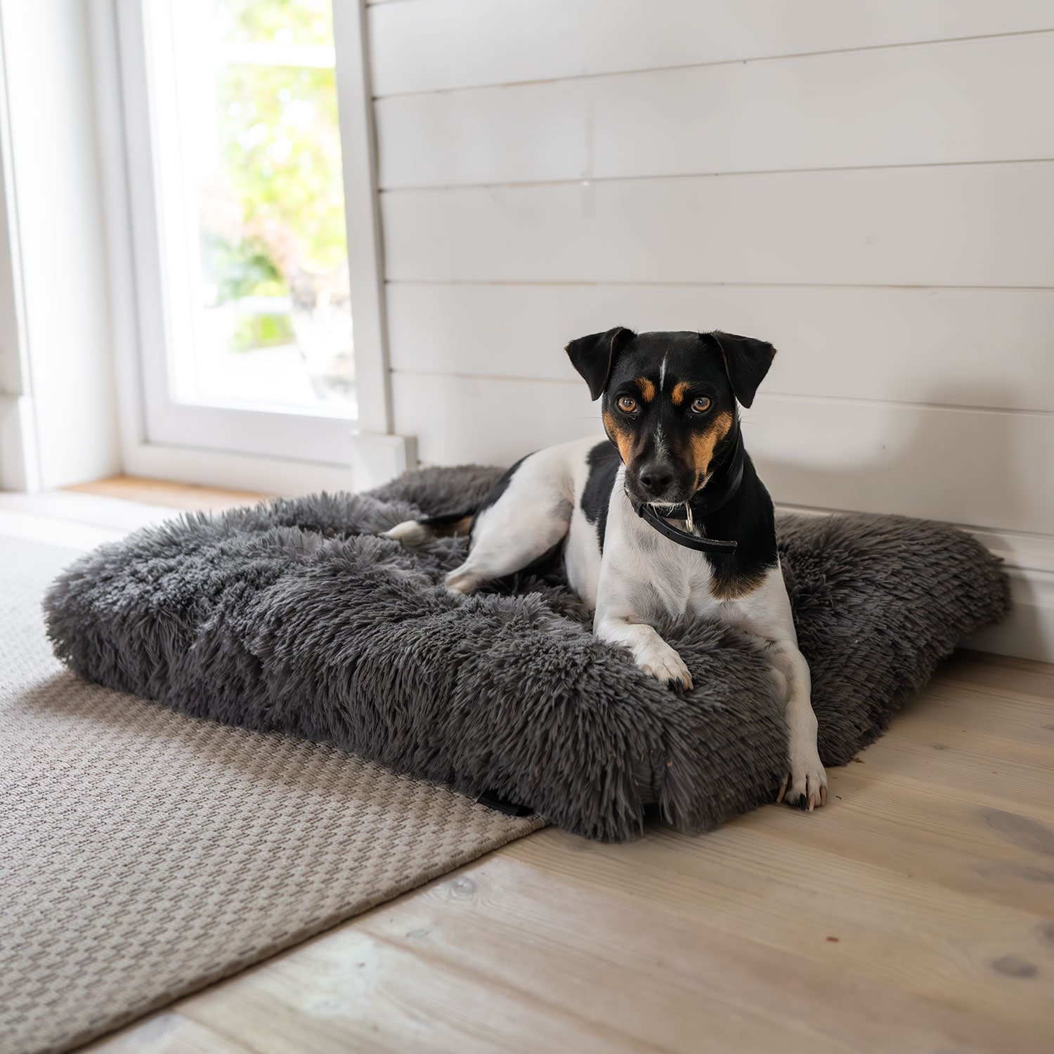 Dog basket  Traxx Gizza Hundbädd traxx®