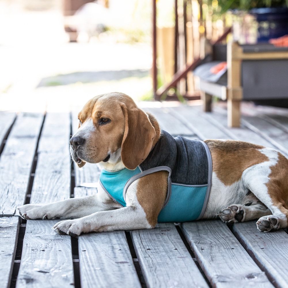 Cooling vest  Beat the Heat traxx®