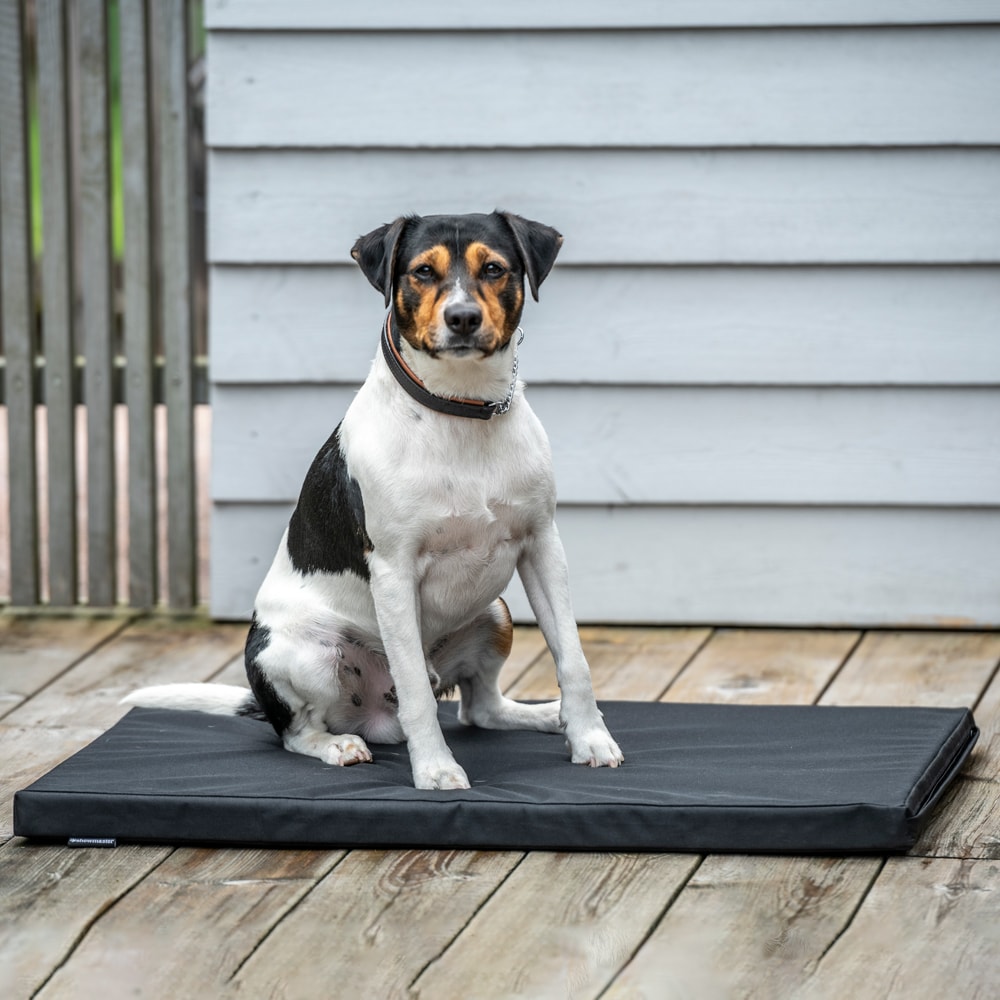 Dog mattress   traxx®