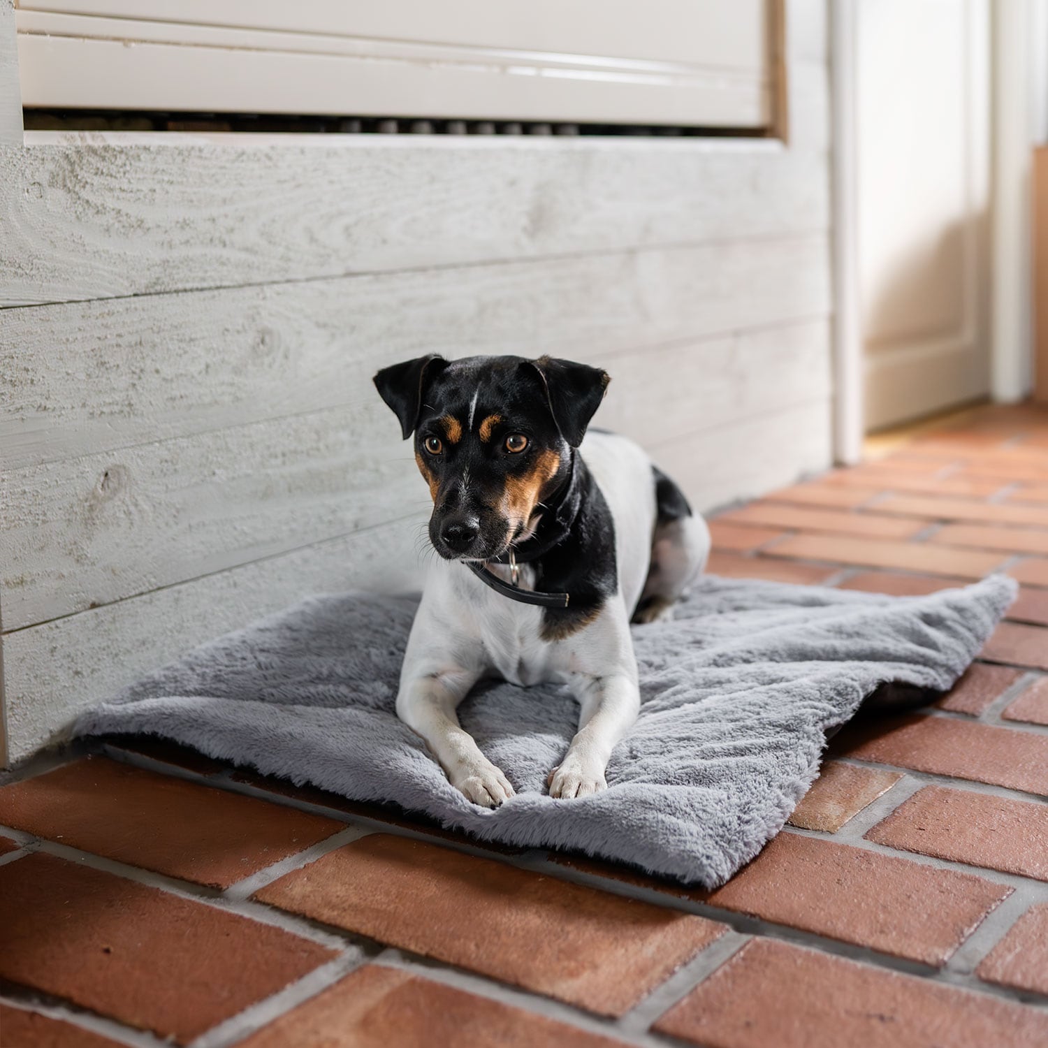 Dog mattress  Self-Warming traxx®