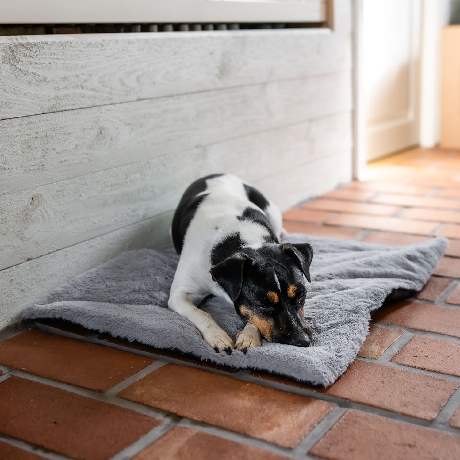 Dog mattress  Self-Warming traxx®