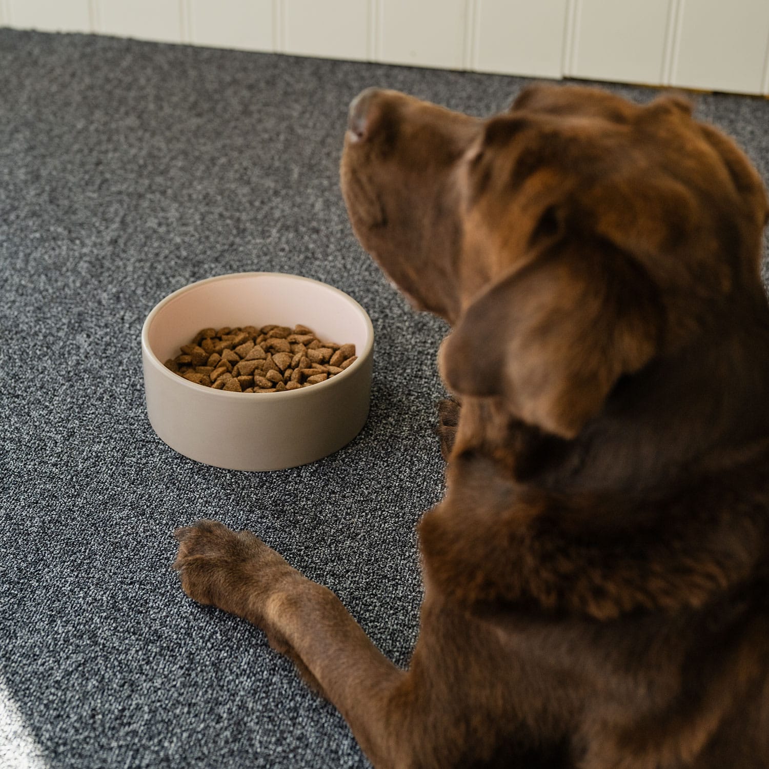 Food bowl  Milla traxx®
